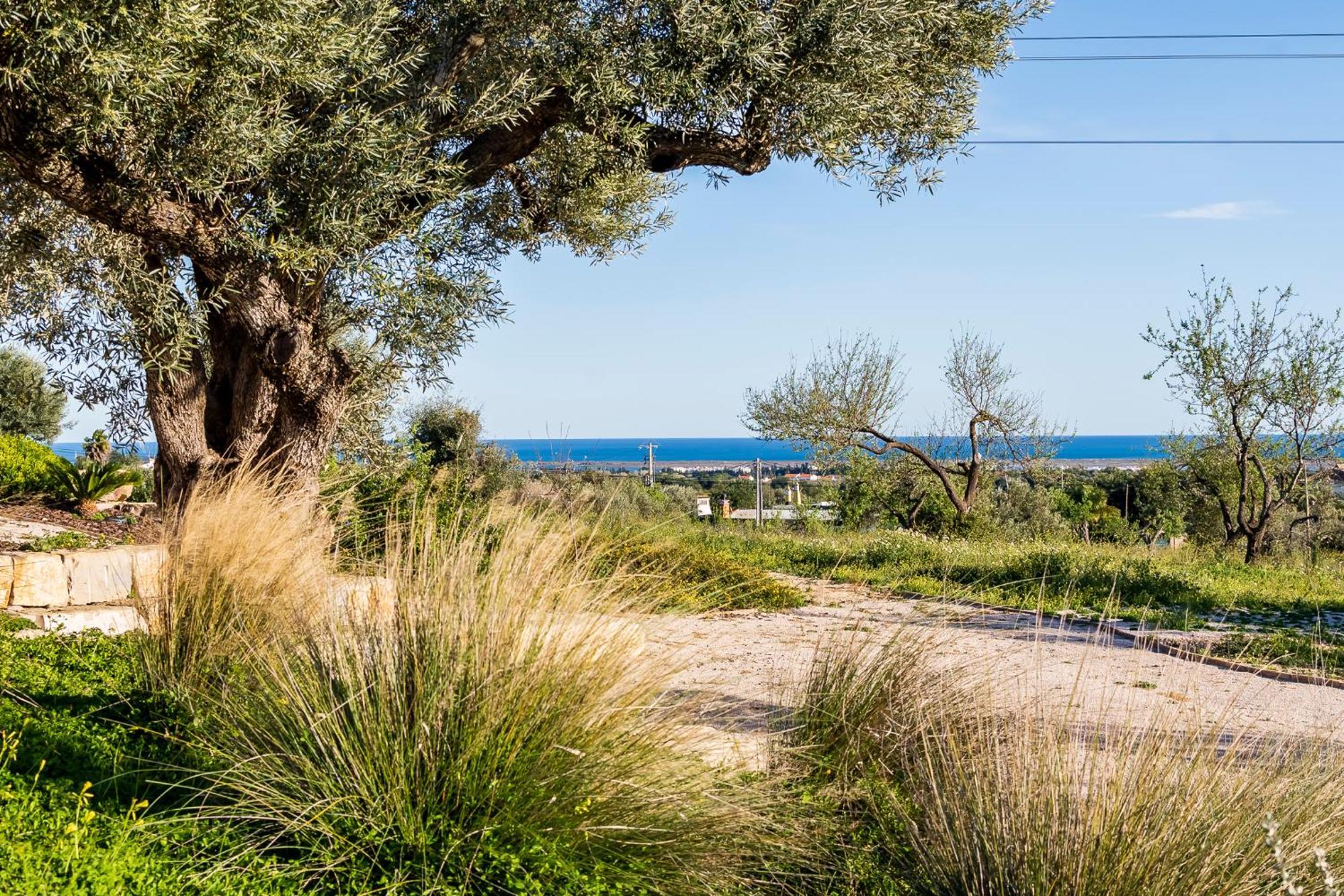 הוילה טאווירה Quinta Da Baleeira מראה חיצוני תמונה